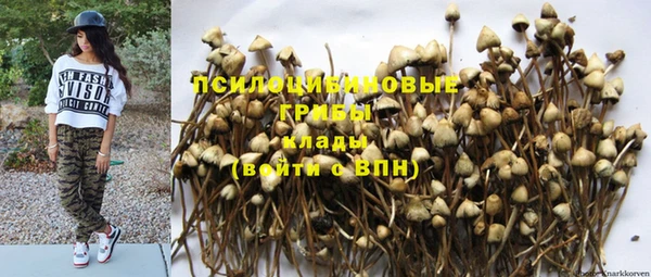 прущая мука Новодвинск