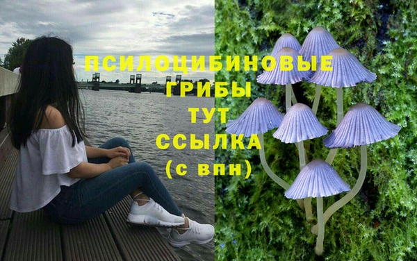 мескалин Абаза