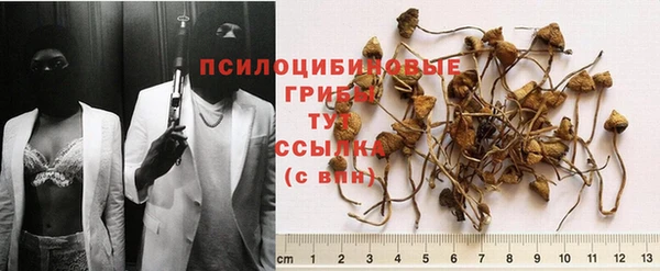 мескалин Абаза