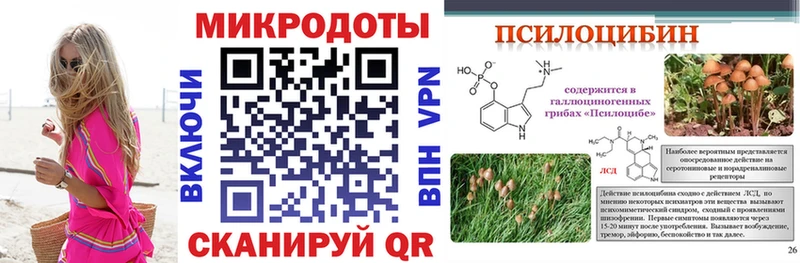 Псилоцибиновые грибы Magic Shrooms  где купить наркоту  Каменск-Шахтинский 